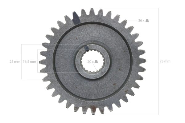 Zahnrad 36TX20T