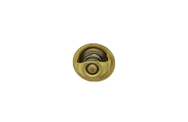 Thermostat Iseki TA, TE, TH,  TXG, TM, TL, TU, SF, SG, SGR, E3CC, E3CD, E3CF, E255, E262, E393, E3100, E3112 – Bild 2