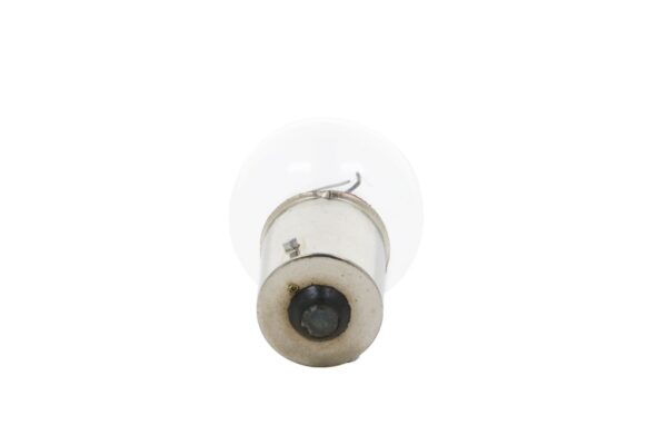 Birne universell 12V 21 Watt – Bild 2