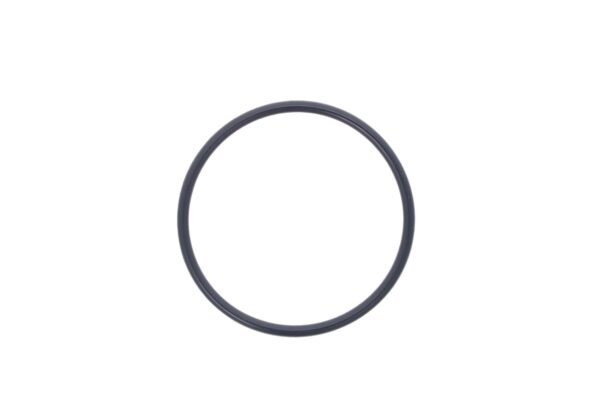 O-ring Iseki 55mm – Bild 2