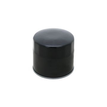 Filter für hydrauliköl Captain 273, Startrac 273, 