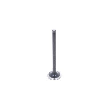 Auslassventil Mitsubishi MVS3L, MVS3L2, S3L, S3L2, S4L, S4L2, Captain, Startrac, Usw.,